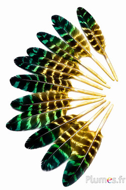 Kalkoen - 10-15 cm - geel-groen